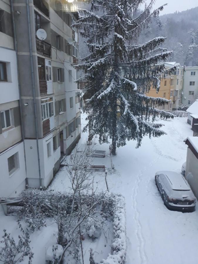 Apartament Aurora Szlanikfürdő Kültér fotó