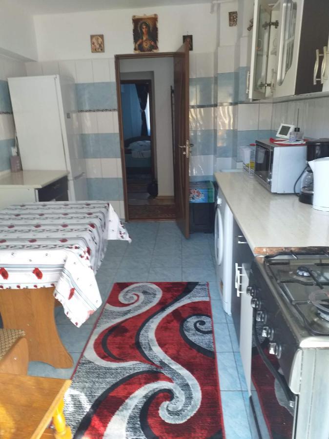Apartament Aurora Szlanikfürdő Kültér fotó