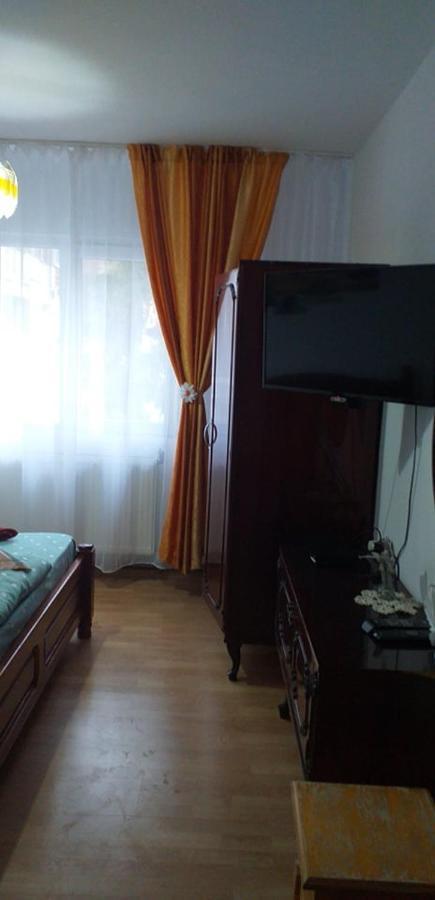 Apartament Aurora Szlanikfürdő Kültér fotó