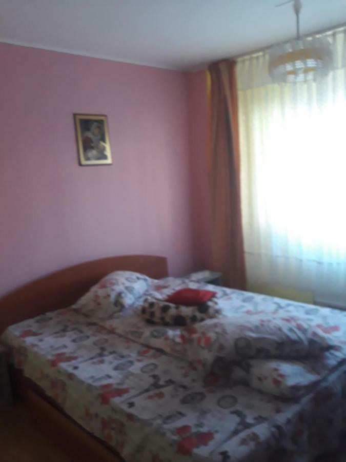 Apartament Aurora Szlanikfürdő Kültér fotó